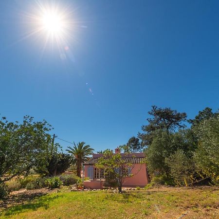 ルース・デ・タビラ Casa Rosaヴィラ エクステリア 写真